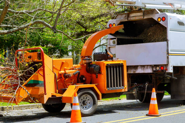 Reliable Pleasantdale, NJ Tree Removal and Landscaping Services Solutions